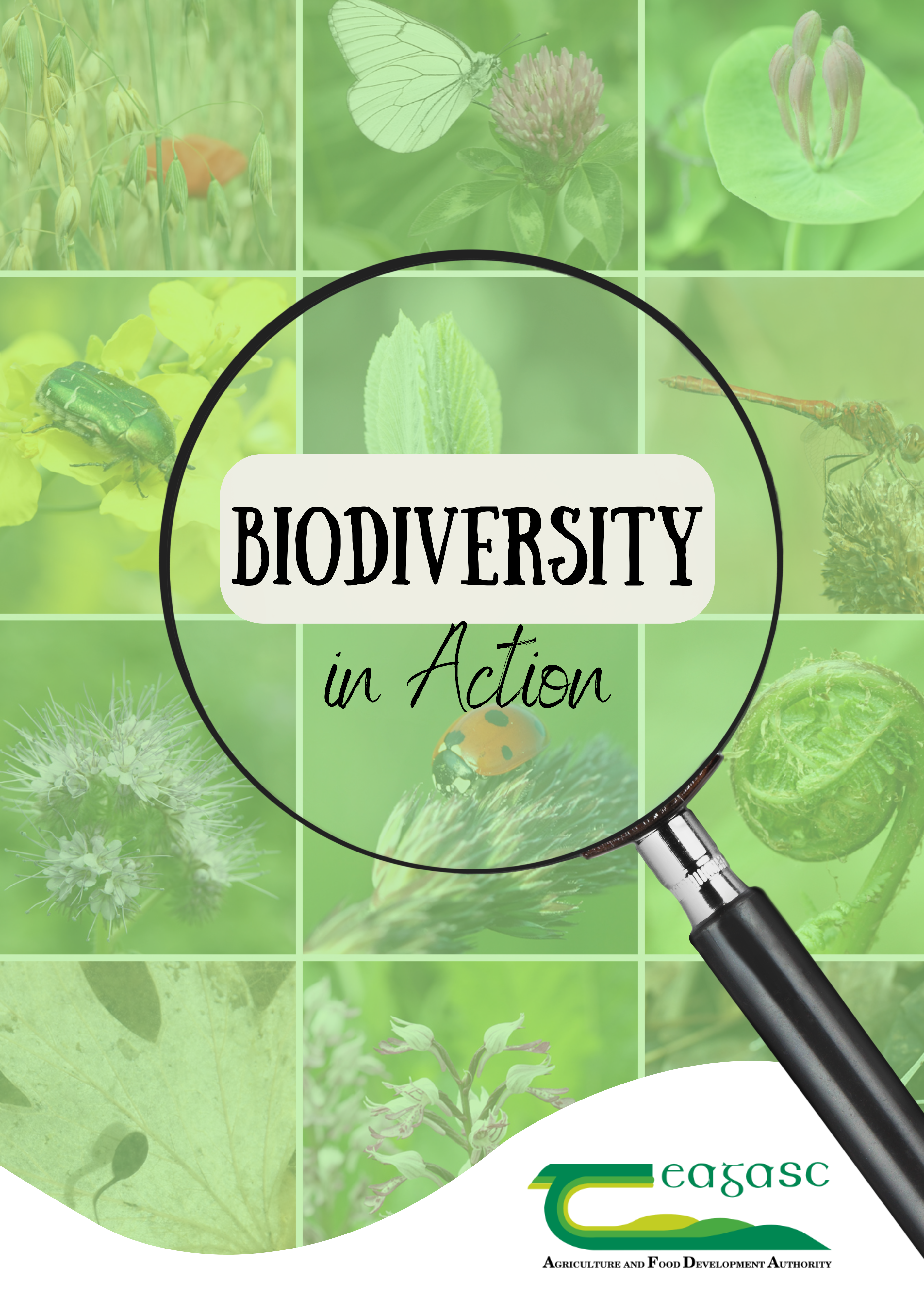 Biodiversity in Action Kit